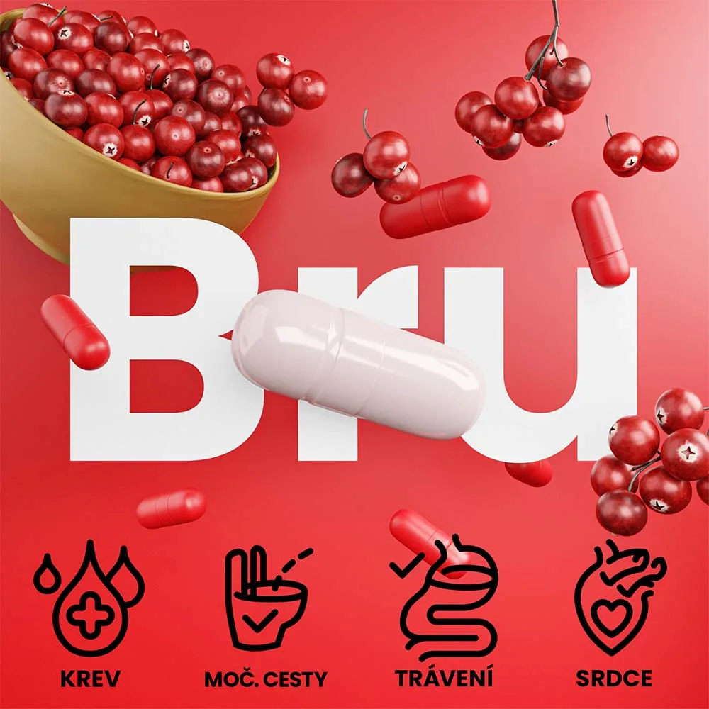 Čerstvé červené brusinky, plody brusinky obecné jako zdroj proanthokyanidinů