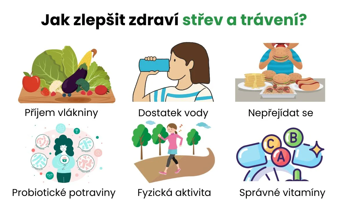 Vyvážený talíř s vlákninou a zeleninou, ilustrace tématu jak zlepšit zdraví střev a trávení