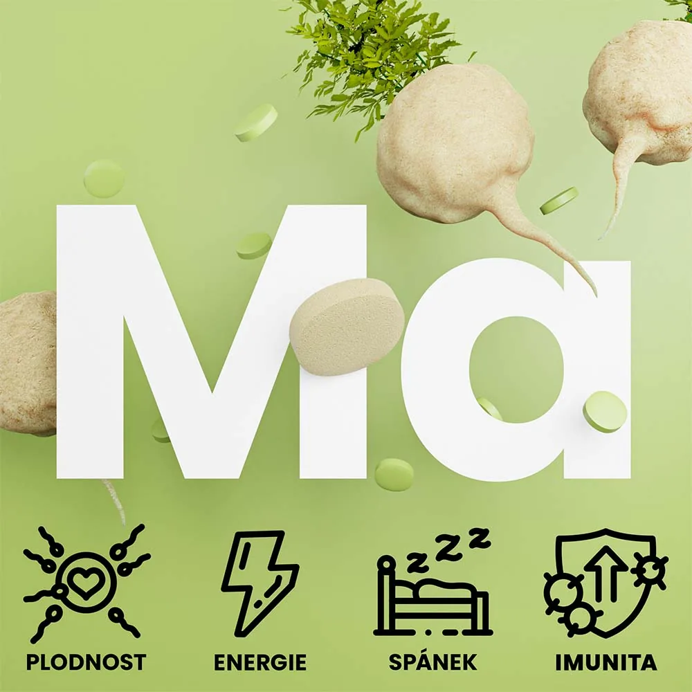 Maca peruánská, kořen a prášek z hlízy Lepidium meyenii tradičně užívaný pro energii