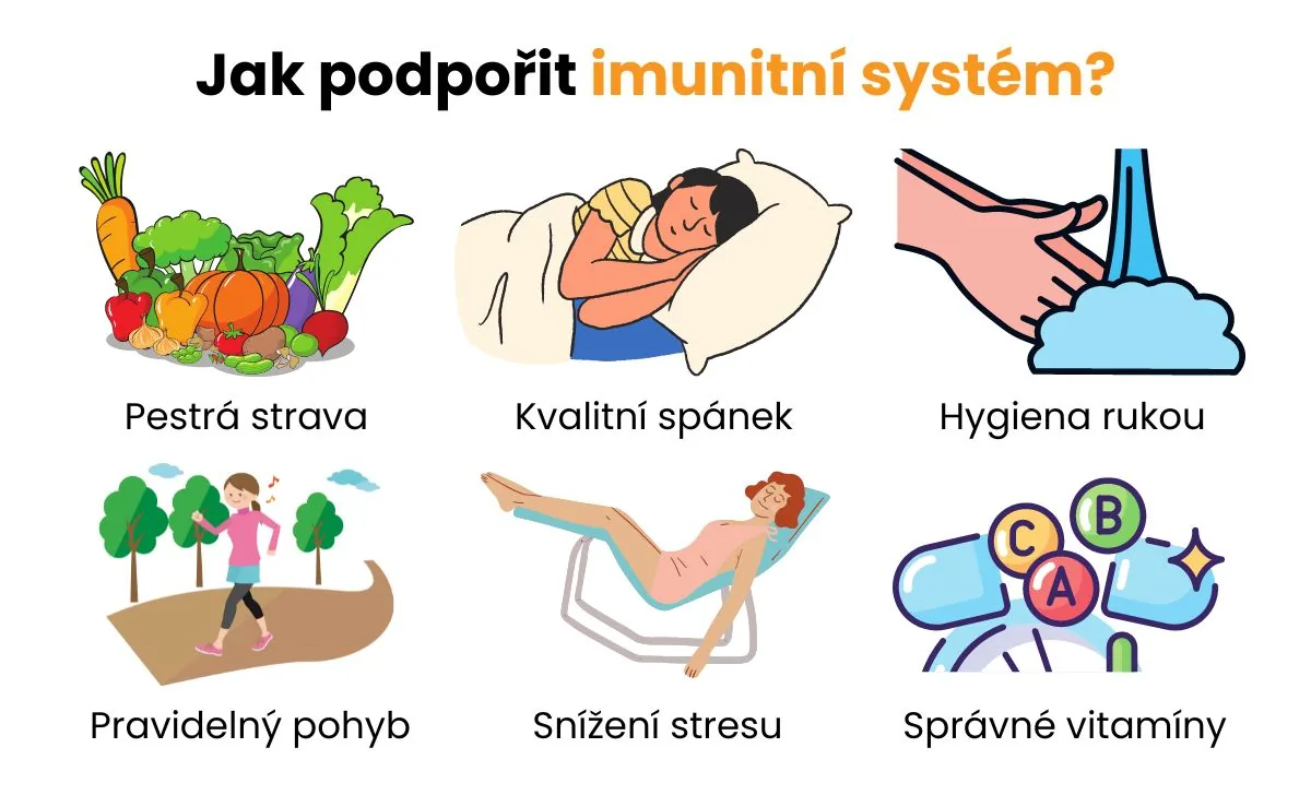 Podpora imunity, ovoce a zelenina bohaté na vitamín C jako součást pestré stravy